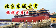 看外国美女日逼黄色视频中国北京-东城古宫旅游风景区